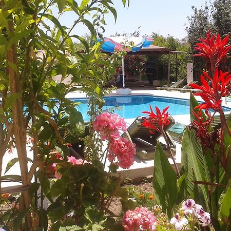 Paradise Garden Gumusluk Evleri 아파트 호텔 외부 사진