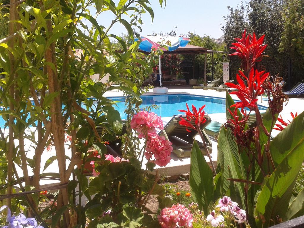 Paradise Garden Gumusluk Evleri 아파트 호텔 외부 사진