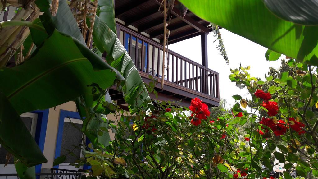 Paradise Garden Gumusluk Evleri 아파트 호텔 외부 사진